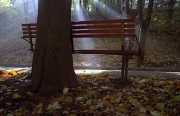 IMG016_.jpg
