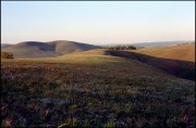 IMG02313w.jpg
