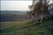 IMG02317w.jpg