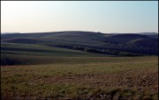 IMG02319w.jpg