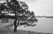 IMG03529.jpg