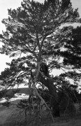 IMG03530.jpg IMG03530.jpg