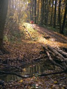 IMG064_.jpg