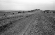 IMG06759w.jpg