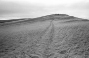 IMG06761w.jpg