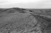 IMG06764w.jpg