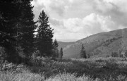 IMG07151w.jpg IMG07151w.jpg