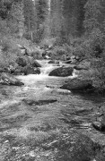 IMG07154w.jpg IMG07154w.jpg