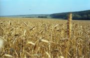 IMG14711.jpg