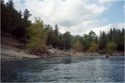 IMG19511.jpg