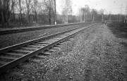 IMG3539-0m.jpg