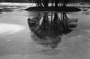 IMG4130-0m.jpg