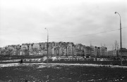 IMG4135-00mmm.jpg