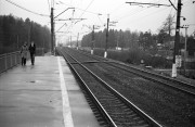 IMG4271-0m.jpg