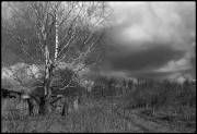 IMG_0494-1.jpg
