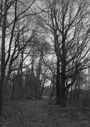 IMG_0503.JPG