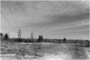 IMG_0665-0.jpg
