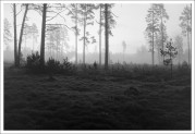 IMG_1695e2.JPG IMG_1695e2.JPG