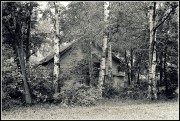 IMG_2530-1.jpg