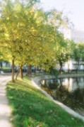 Image00001.jpg