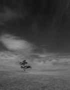L1007054-1.jpg