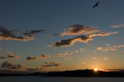 L1007322-2.jpg
