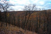L5381823.JPG L5381823.JPG