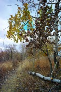 L5381825.JPG L5381825.JPG