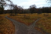 L5381845.JPG L5381845.JPG