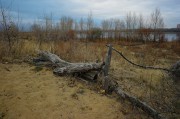 L5381988.JPG L5381988.JPG
