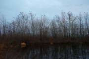 L5382003.JPG L5382003.JPG