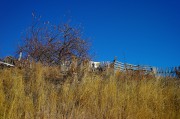 L5382048.JPG