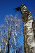 L5382058.JPG