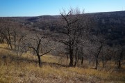 L5382060.JPG