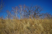 L5382061.JPG L5382061.JPG