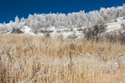 L5382124.jpg L5382124.jpg