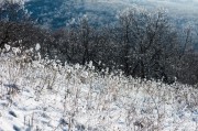 L5382154.jpg L5382154.jpg