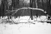 L5382522.JPG L5382522.JPG