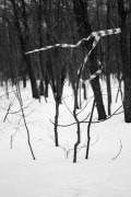 L5382524.JPG L5382524.JPG