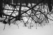 L5382527.JPG L5382527.JPG