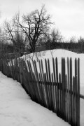 L5382545.JPG L5382545.JPG