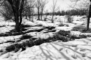 L5382879_2.jpg L5382879_2.jpg
