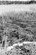 L5382889_2.jpg L5382889_2.jpg