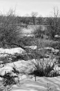 L5382891_2.jpg L5382891_2.jpg