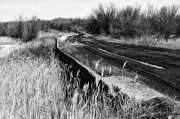 L5382893_2.jpg L5382893_2.jpg