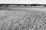 L5382895_2.jpg L5382895_2.jpg