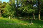 L5383668.JPG L5383668.JPG