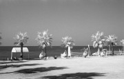 Liii_Summitar_Rollei400IR_Rodinal18min_VS_N_2018-09-16-0005_web.jpg