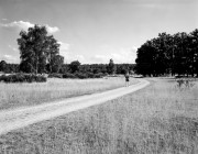 Linhoff_Foma400als200_HC110E_Rot_10min_VS_N_1_2022-07-28-0004.jpg Linhoff_Foma400als200_HC110E_Rot_10min_VS_N_1_2022-07-28-0004.jpg