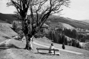 M6_FP5_Ilfosol3_1zu4_630min_SF_E_29052016_1_37.JPG